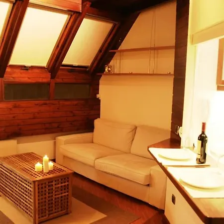 Apartment Atico Centro Con Terraza -pl Italia