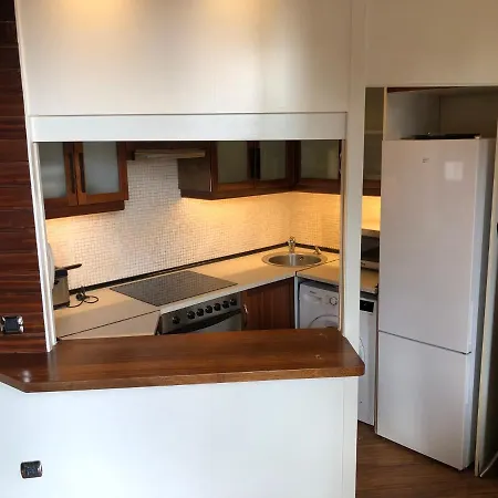 Apartment Atico Centro Con Terraza -pl Italia Gijon